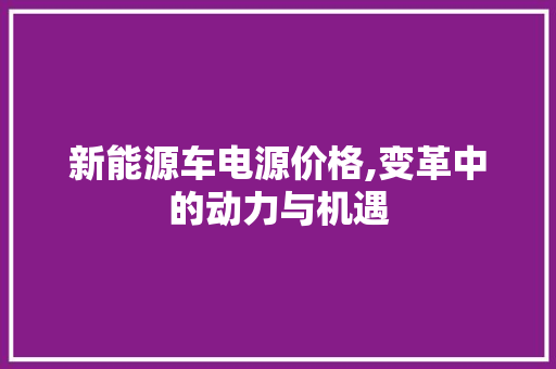 新能源车电源价格,变革中的动力与机遇