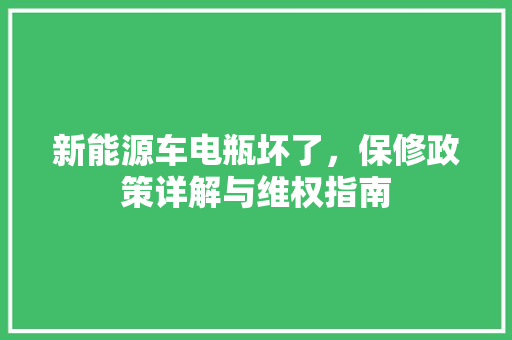 新能源车电瓶坏了，保修政策详解与维权指南