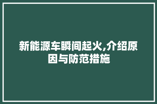 新能源车瞬间起火,介绍原因与防范措施