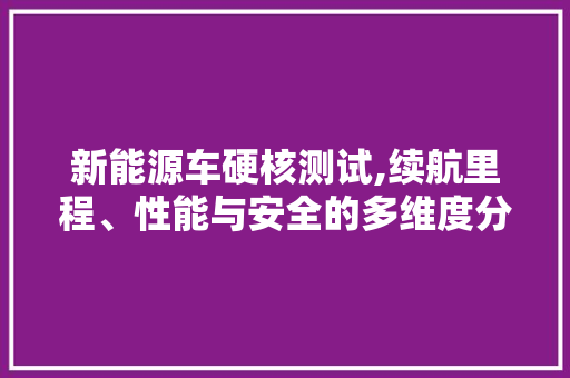 新能源车硬核测试,续航里程、性能与安全的多维度分析