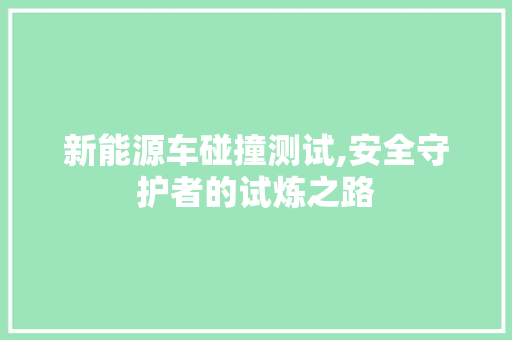 新能源车碰撞测试,安全守护者的试炼之路
