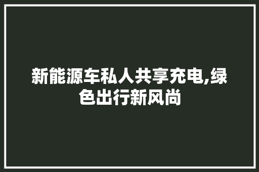 新能源车私人共享充电,绿色出行新风尚