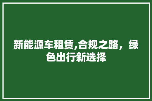 新能源车租赁,合规之路，绿色出行新选择