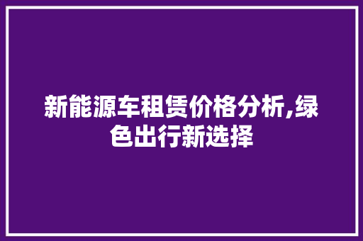 新能源车租赁价格分析,绿色出行新选择