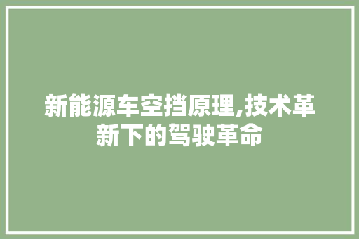 新能源车空挡原理,技术革新下的驾驶革命