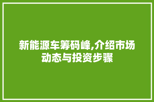 新能源车筹码峰,介绍市场动态与投资步骤