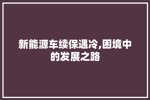 新能源车续保遇冷,困境中的发展之路