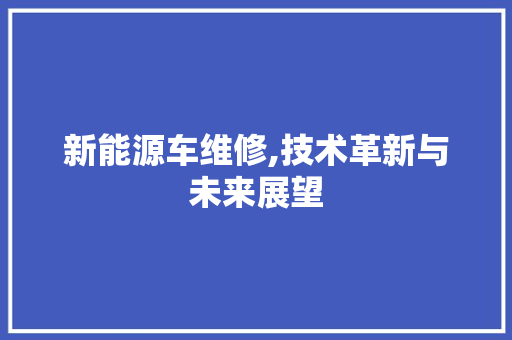 新能源车维修,技术革新与未来展望