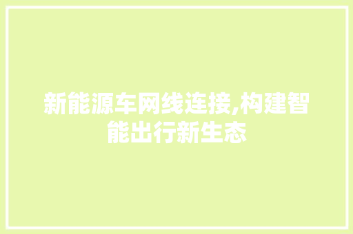 新能源车网线连接,构建智能出行新生态
