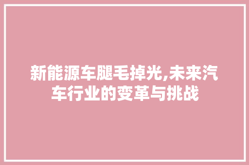 新能源车腿毛掉光,未来汽车行业的变革与挑战