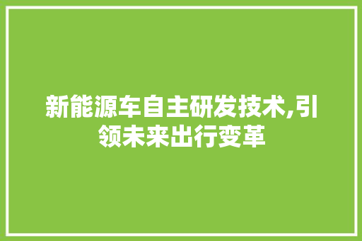 新能源车自主研发技术,引领未来出行变革