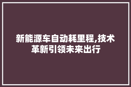新能源车自动耗里程,技术革新引领未来出行