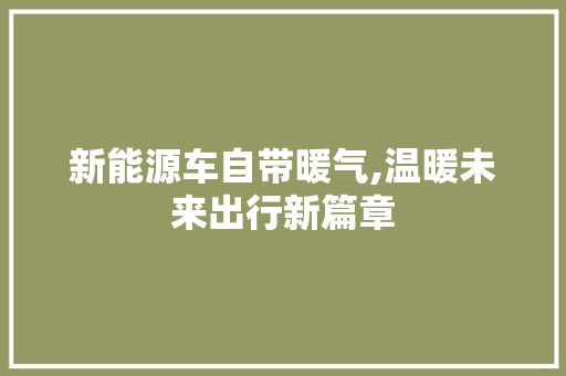 新能源车自带暖气,温暖未来出行新篇章