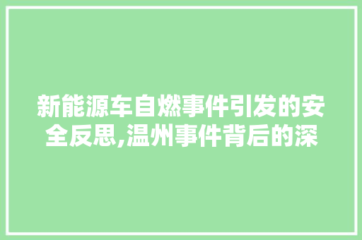新能源车自燃事件引发的安全反思,温州事件背后的深层原因与对策