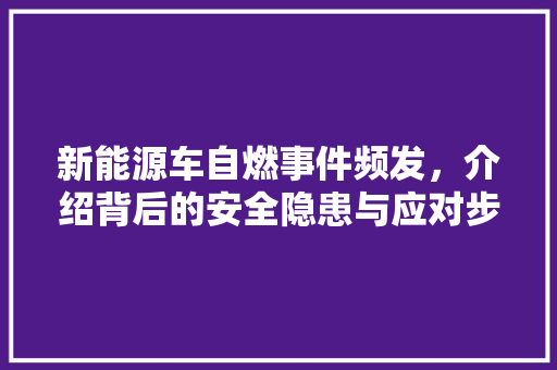 新能源车自燃事件频发，介绍背后的安全隐患与应对步骤