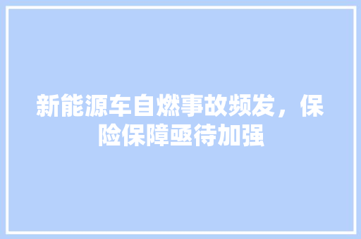 新能源车自燃事故频发，保险保障亟待加强