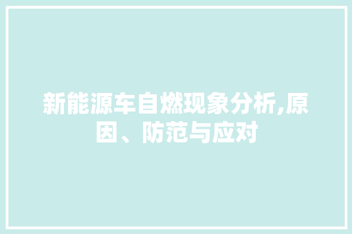 新能源车自燃现象分析,原因、防范与应对