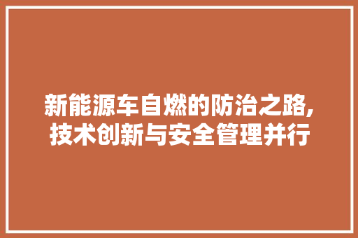 新能源车自燃的防治之路,技术创新与安全管理并行