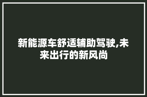 新能源车舒适辅助驾驶,未来出行的新风尚