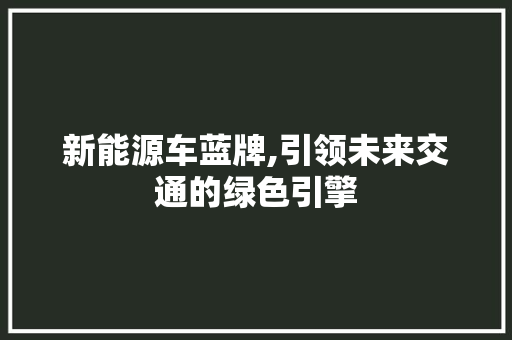 新能源车蓝牌,引领未来交通的绿色引擎