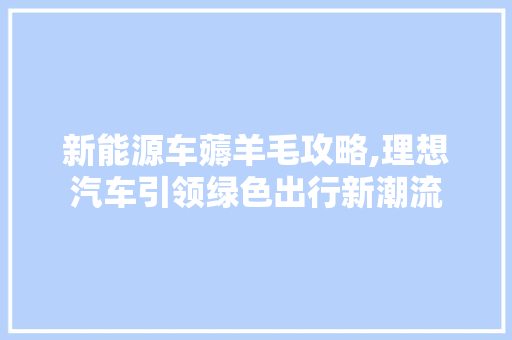 新能源车薅羊毛攻略,理想汽车引领绿色出行新潮流