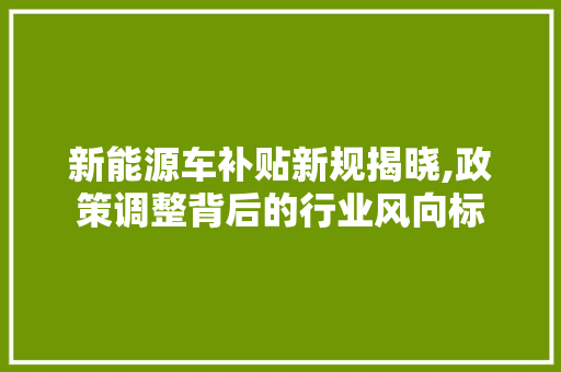 新能源车补贴新规揭晓,政策调整背后的行业风向标