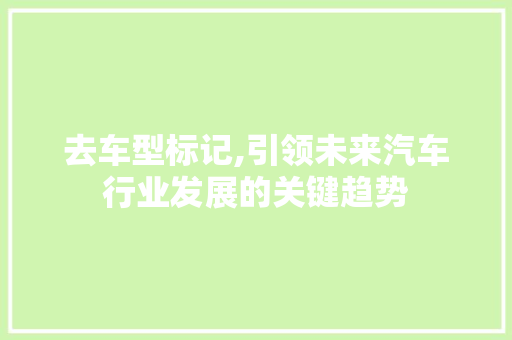 去车型标记,引领未来汽车行业发展的关键趋势