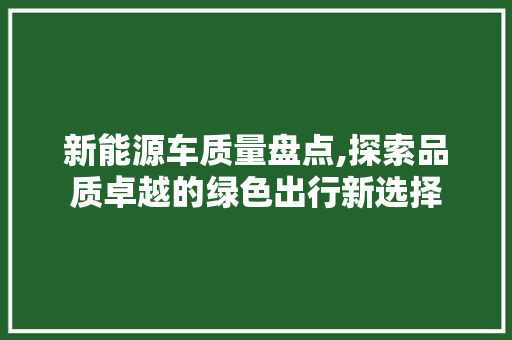 新能源车质量盘点,探索品质卓越的绿色出行新选择