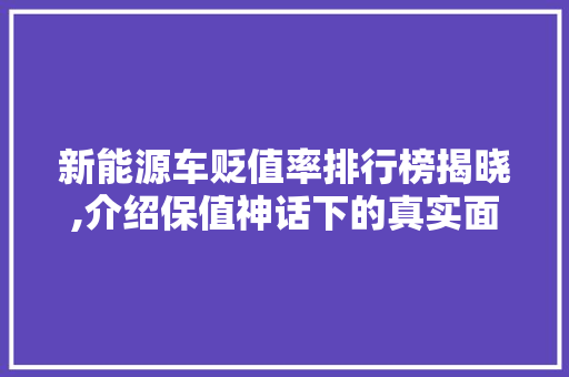 新能源车贬值率排行榜揭晓,介绍保值神话下的真实面目