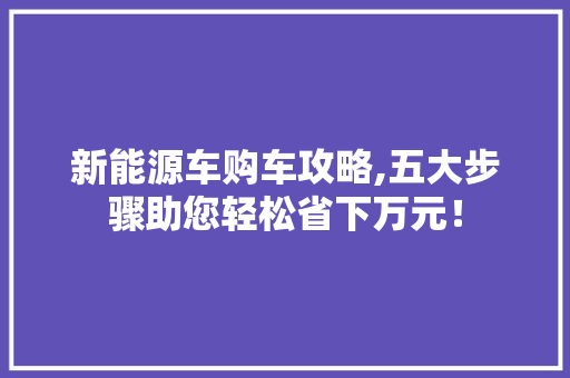 新能源车购车攻略,五大步骤助您轻松省下万元！