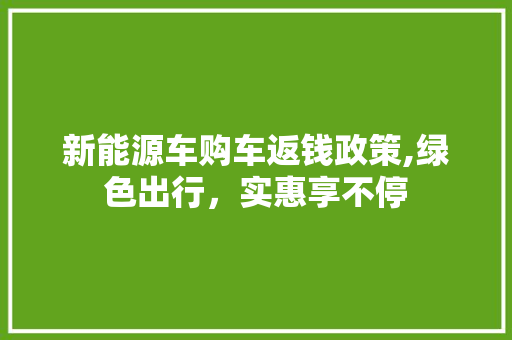 新能源车购车返钱政策,绿色出行，实惠享不停