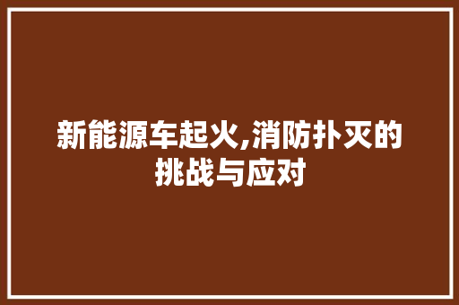 新能源车起火,消防扑灭的挑战与应对
