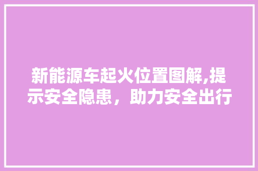 新能源车起火位置图解,提示安全隐患，助力安全出行