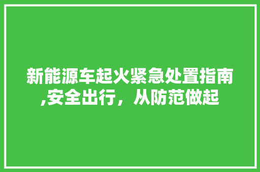 新能源车起火紧急处置指南,安全出行，从防范做起