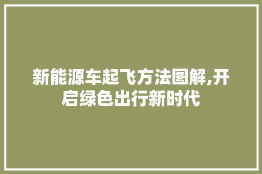 新能源车起飞方法图解,开启绿色出行新时代