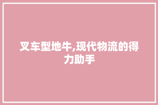 叉车型地牛,现代物流的得力助手
