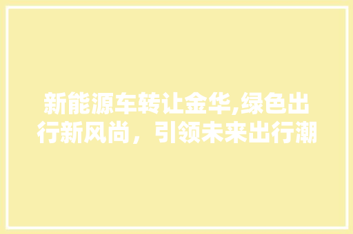 新能源车转让金华,绿色出行新风尚，引领未来出行潮流