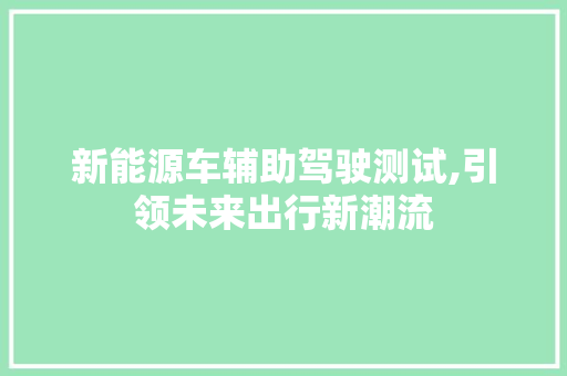 新能源车辅助驾驶测试,引领未来出行新潮流