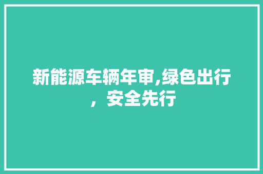 新能源车辆年审,绿色出行，安全先行