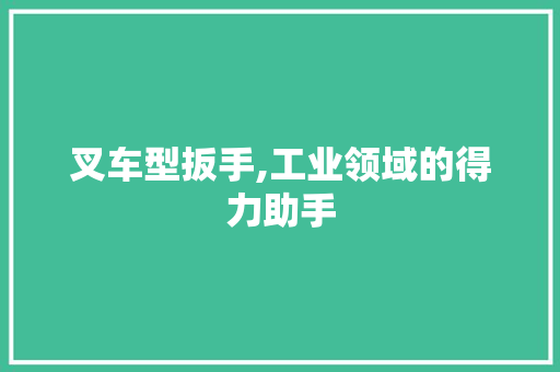 叉车型扳手,工业领域的得力助手
