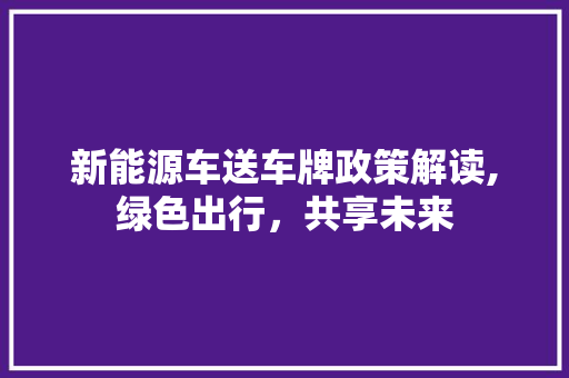 新能源车送车牌政策解读,绿色出行，共享未来
