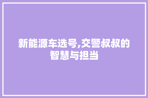 新能源车选号,交警叔叔的智慧与担当
