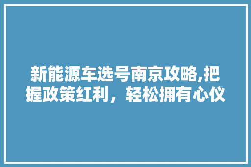 新能源车选号南京攻略,把握政策红利，轻松拥有心仪车牌