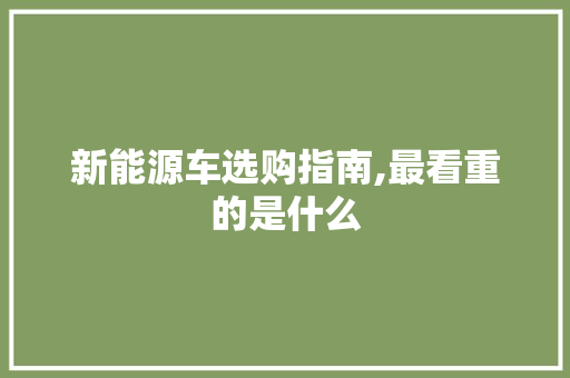 新能源车选购指南,最看重的是什么