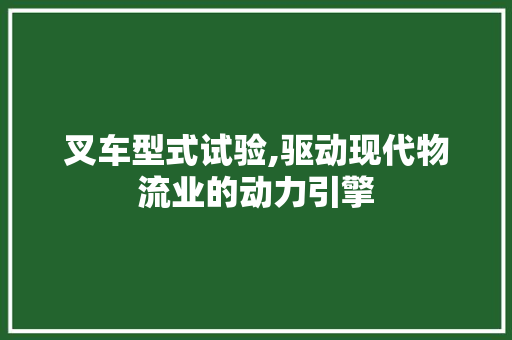 叉车型式试验,驱动现代物流业的动力引擎