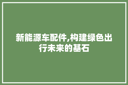 新能源车配件,构建绿色出行未来的基石