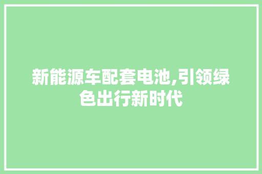 新能源车配套电池,引领绿色出行新时代
