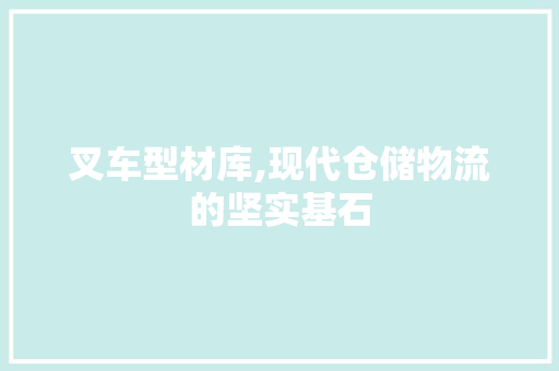 叉车型材库,现代仓储物流的坚实基石