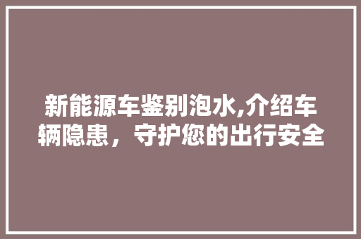 新能源车鉴别泡水,介绍车辆隐患，守护您的出行安全