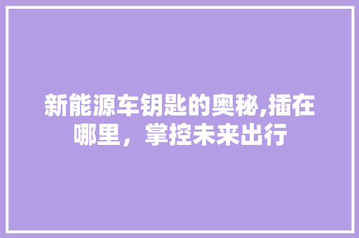新能源车钥匙的奥秘,插在哪里，掌控未来出行